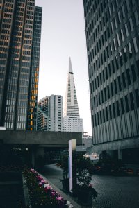 Financial district, San francisco, United states photo