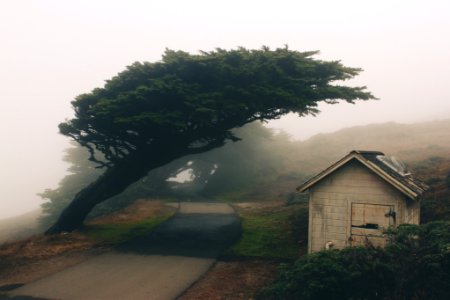 Point reyes lighthouse, Inverness, United states photo