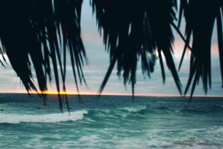 La jolla, San diego, United states