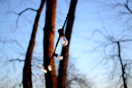 Hillsboro, United states, Bulb
