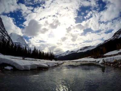 Mount robson, Canada, Trees