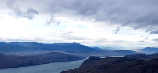 Kamloops, Canada, Trees
