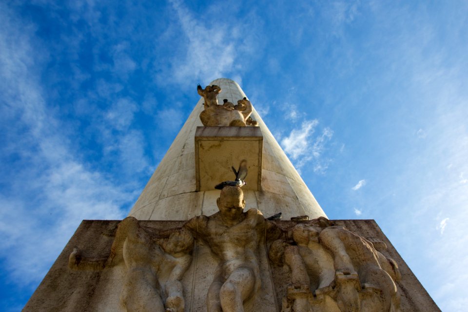 Lisbon, Portugal, Pigeon