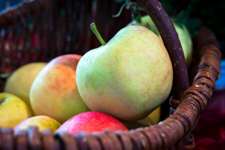 Fruit harvest healthy