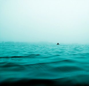 closeup photo of calm body of water
