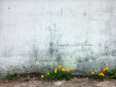 Gapyeongeup, Gapyeonggun, South korea