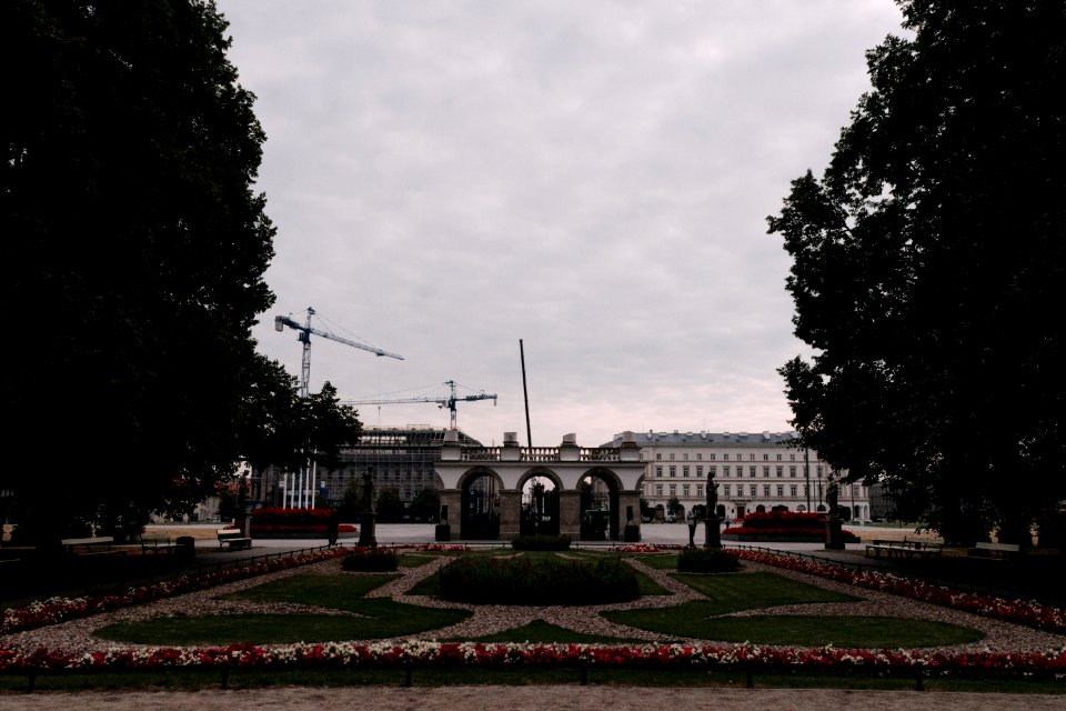 Warszawa, Polska, Flowers