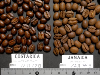 Costarica, Jamaica, Blue mountains