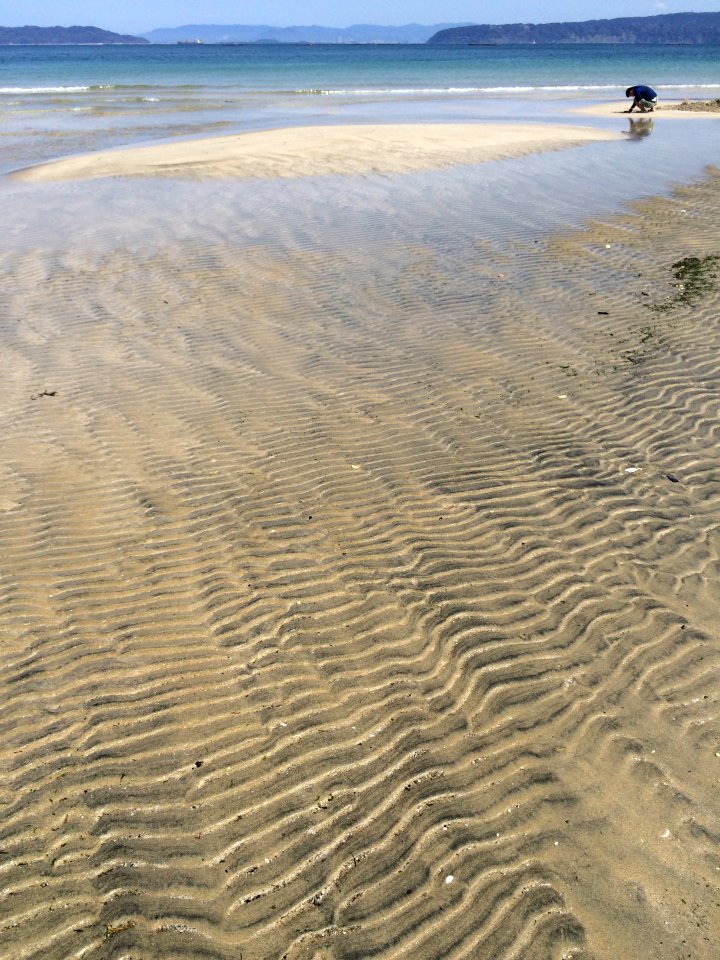 Coast, Beach, Wave