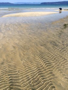 Coast, Beach, Wave