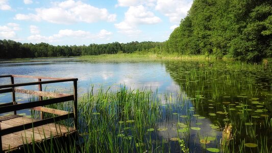 Nature pond view photo