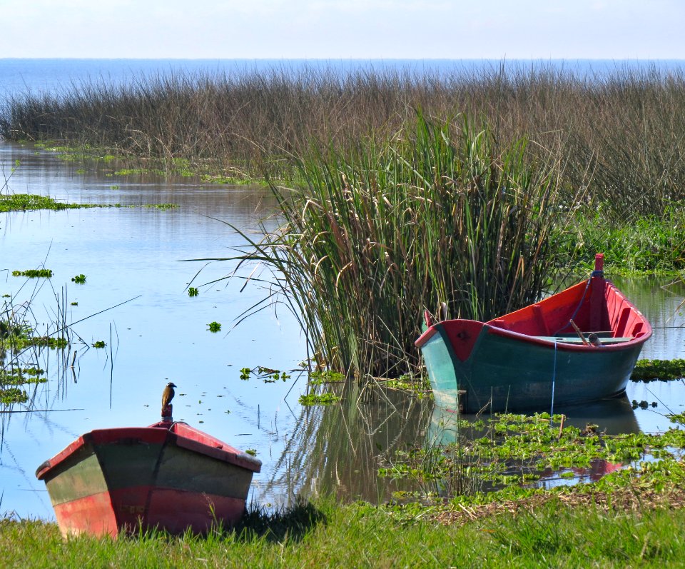 So loureno do sul, Brazil, Blue