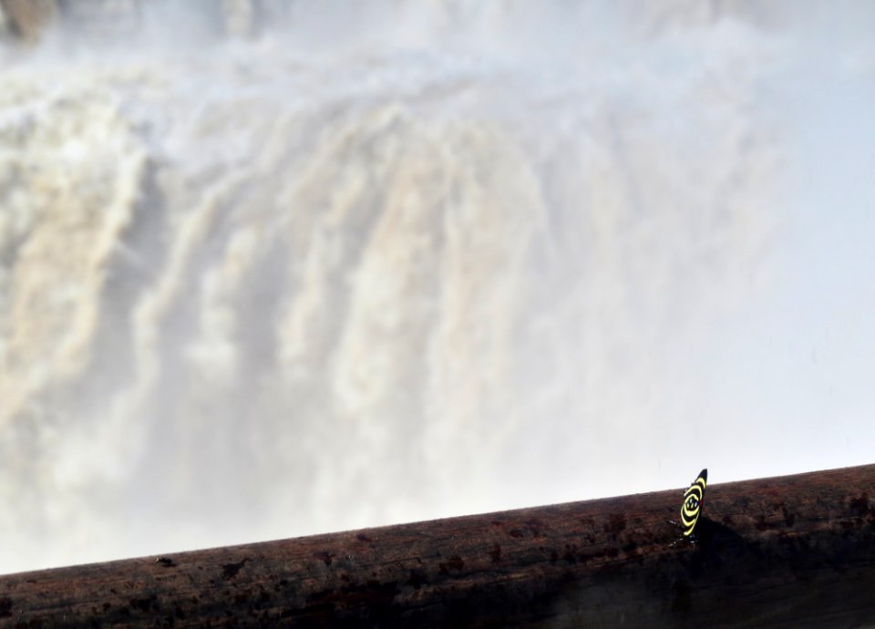 Iguazu national park, Puerto iguaz, Argentina