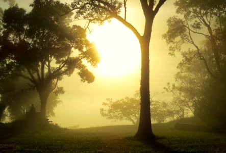 Extrema, Brazil, Fog