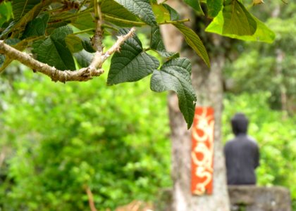 Extrema, Brazil, Zen