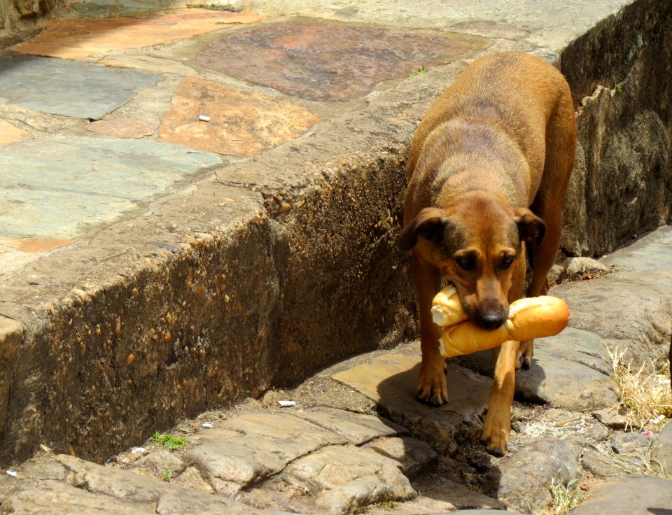Tiradentes, Brazil, Old town