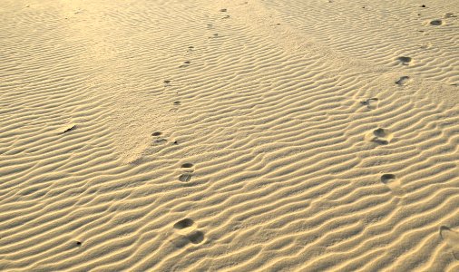 Rio munda, Brazil, Footsteps