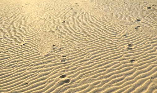 Rio munda, Brazil, Footsteps photo