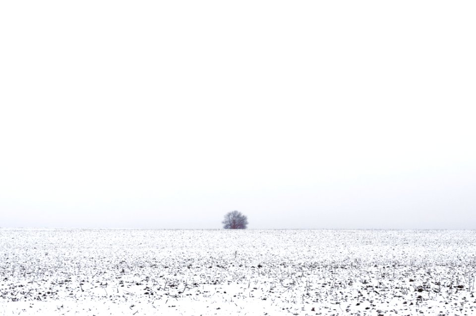 Rivne, Ukraine, Nature