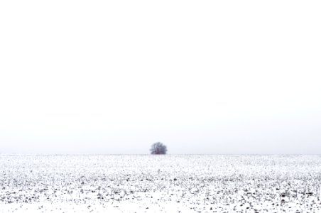 Rivne, Ukraine, Nature