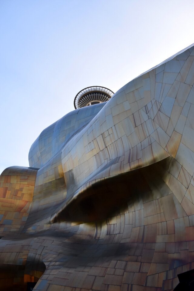 Gehry museum surface