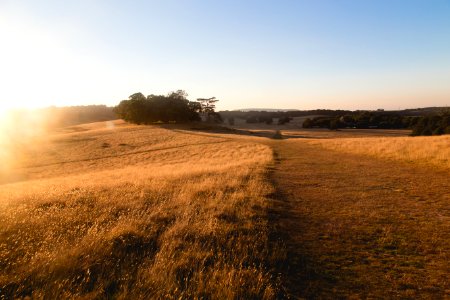 brown field under blue shy photo