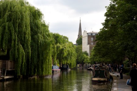 willow tree by river near concrete buildings during daytime photo