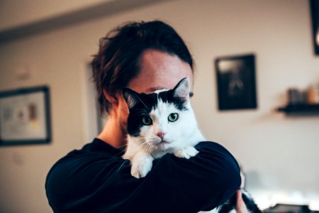 Paw, Fur, Cats