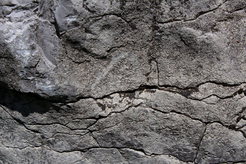 Nature background texture