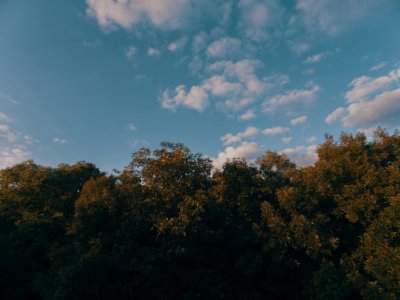 Background, Aerial, Summer