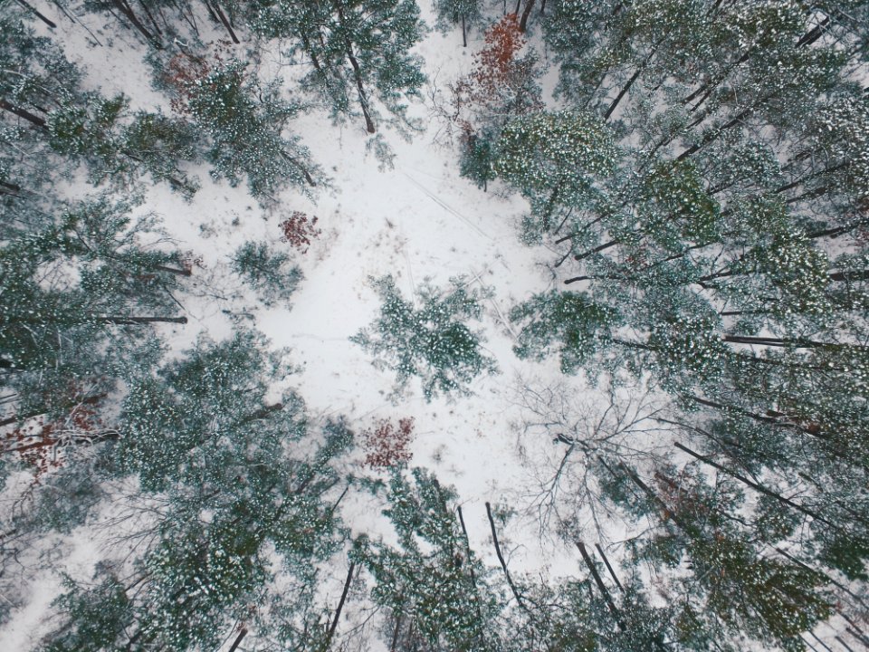 high-angle photography snow covered field with trees