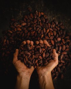 person holding dried beans