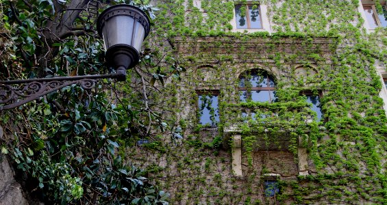 Italy, Metropolitan city of rome, Arte