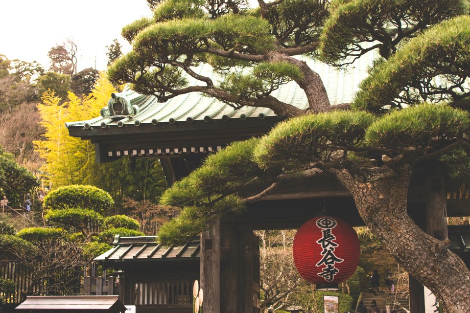 Kamakura, Japan, Lantern