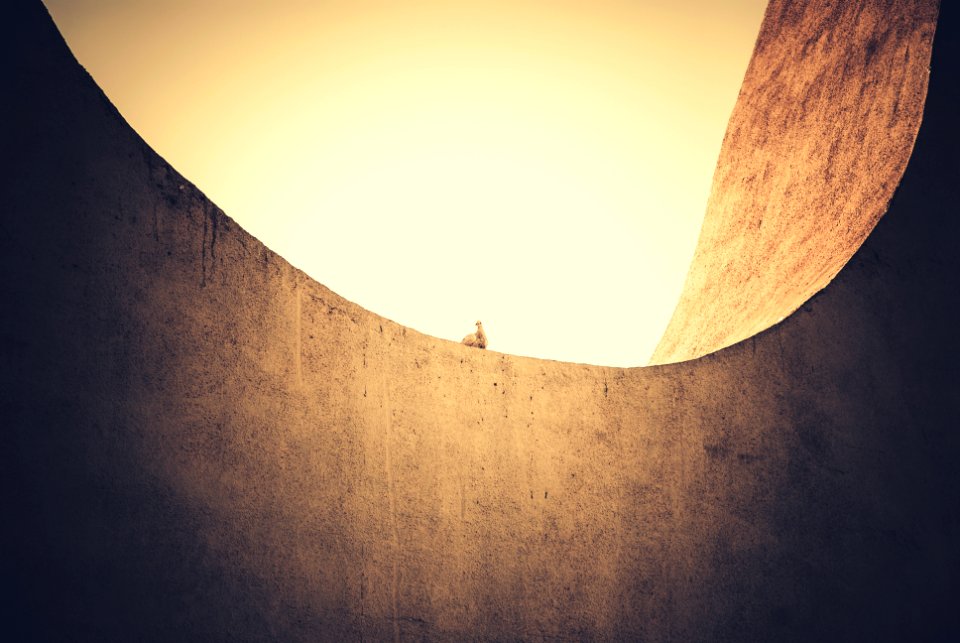 Braslia, Brazil, Shapes