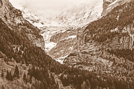 Grindelwald, Switzerl, Quiet photo
