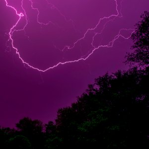 photo of trees during thunderstorms