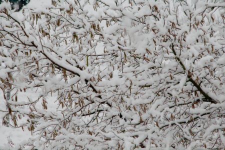 Avellino, Italy, Winter