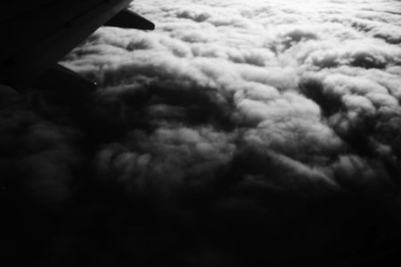 So paulo, Brazil, Wing