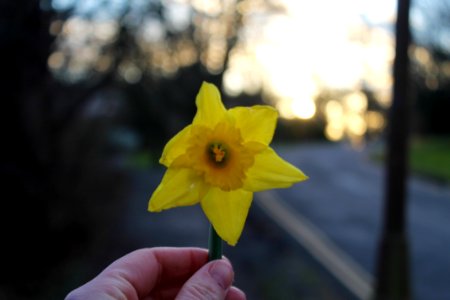 Light, Nature, Bright