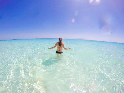 Bermuda, South avenue, Pony tail photo