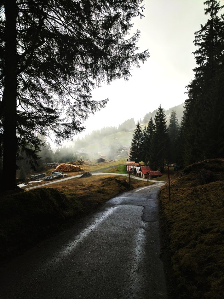 Switzerl, Wengen, Lauterbrunnen
