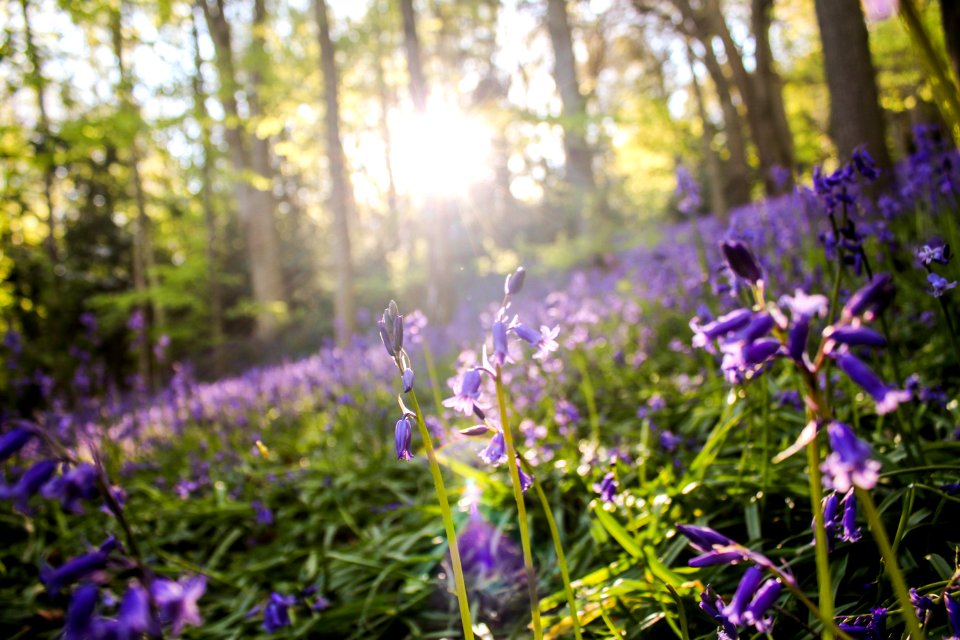 Durham university botanic garden, Durham, United kingdom