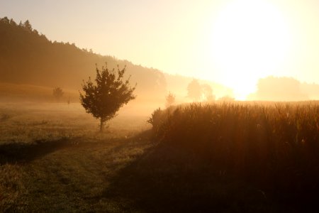 Shadow, Germany, Sunrise