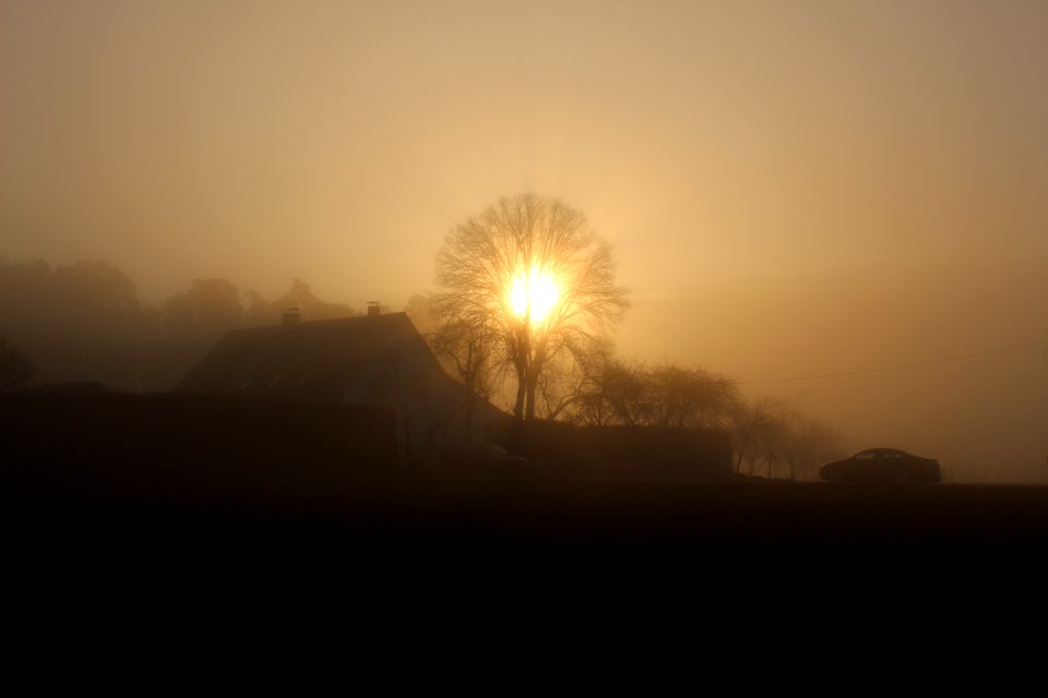 Germany, Fog, Sunny