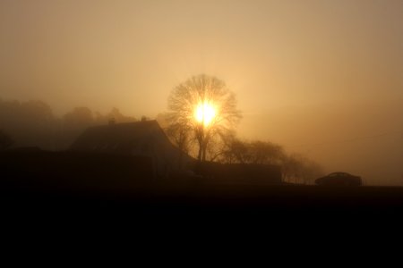 Germany, Fog, Sunny photo