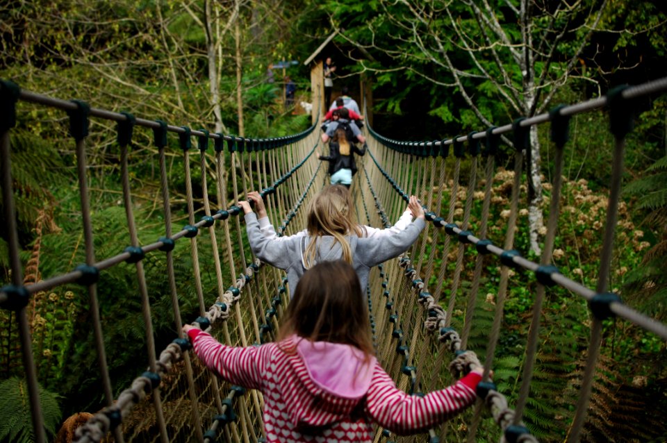 The lost gardens of heligan, Pentewan, United kingdom