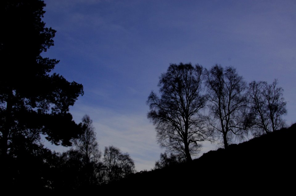 Cannock chase, Cannock, United kingdom