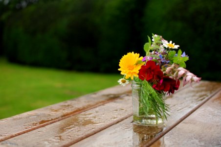 yellow and red petaled flowers in glass vase photo