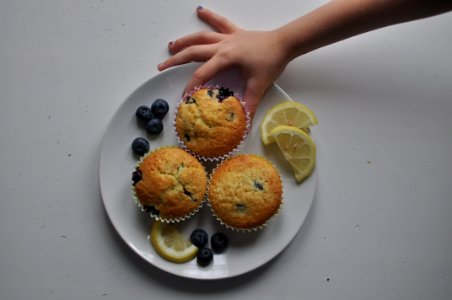 Stafford, United kingdom, Blueberry photo